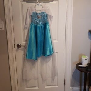 Elsa costume dress only